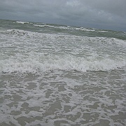 Picture 050